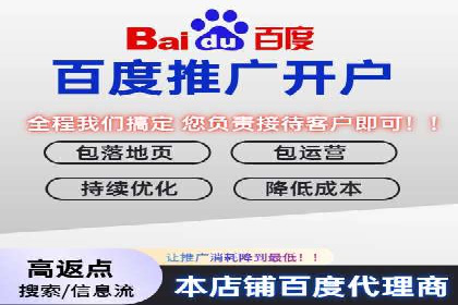 百度SEM广告投放的创意与执行：成功案例详解